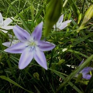 Meet your Posher, Melinda